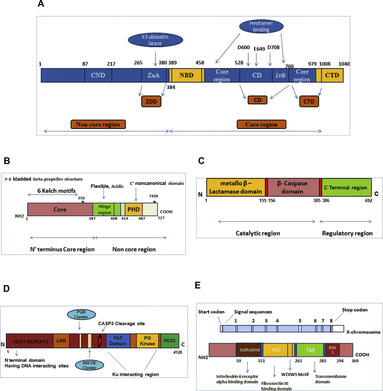 Figure 2