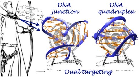 Graphical Abstract