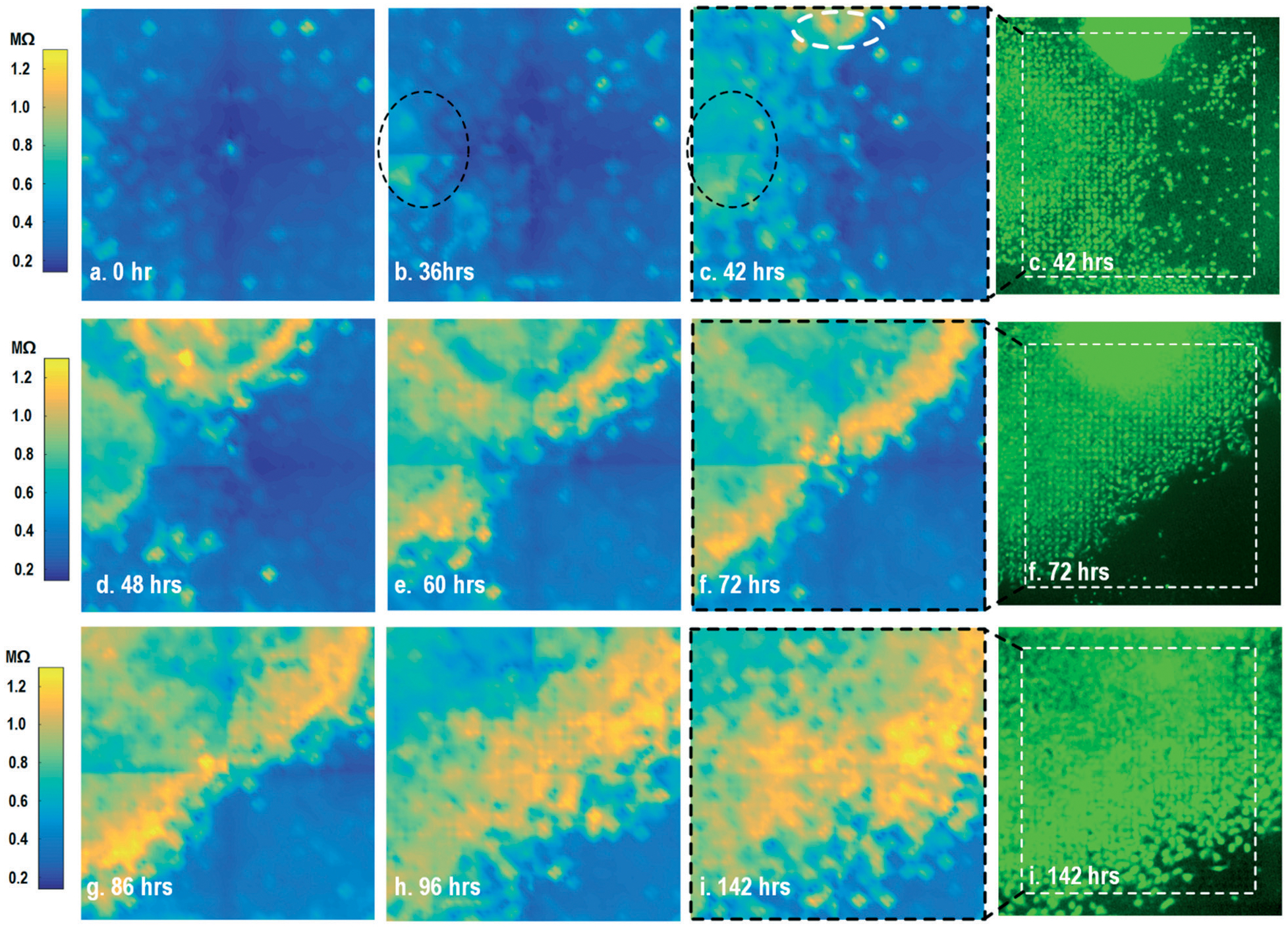 Fig. 3