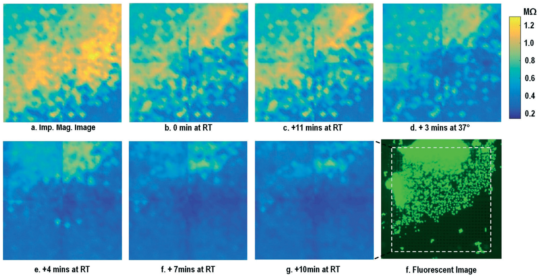 Fig. 4