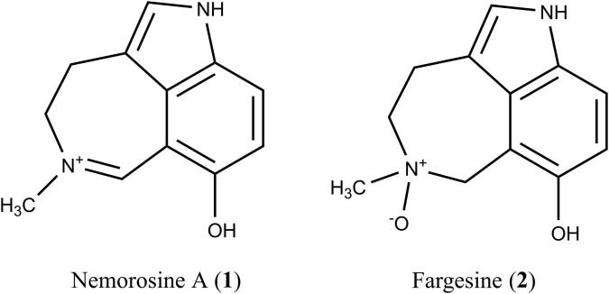 FIGURE 1