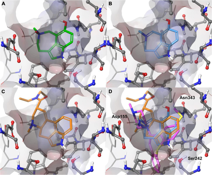 FIGURE 3