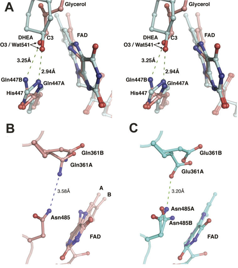 Figure 4.