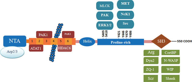 Figure 2.