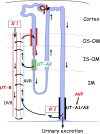 Fig. 6.