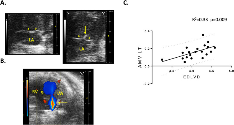 Fig 7