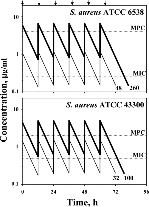 FIG. 1.