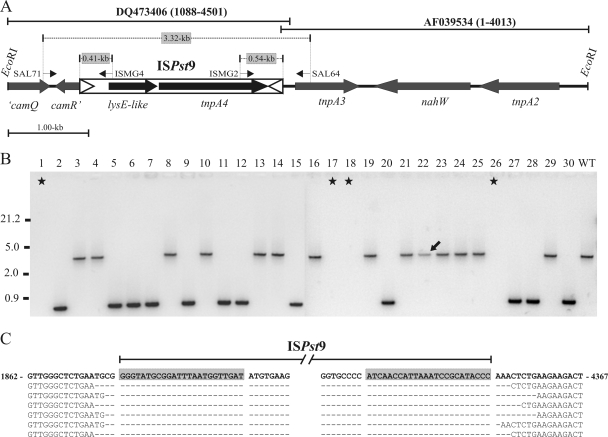 FIG. 4.