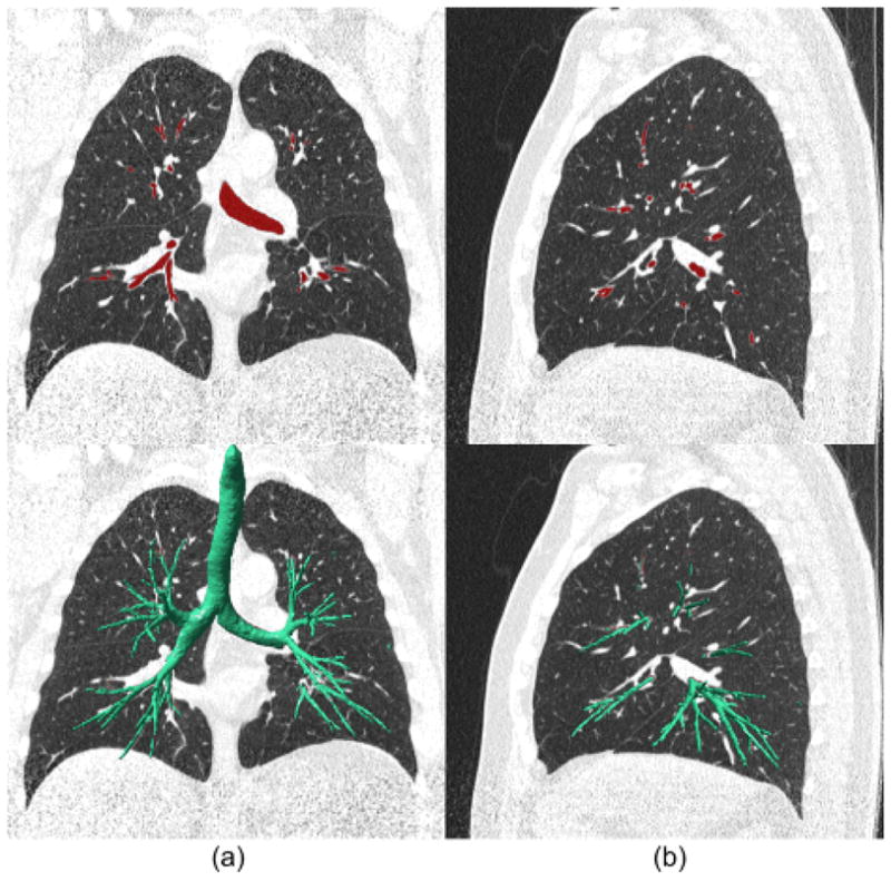 Fig. 10