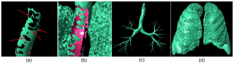 Fig. 8