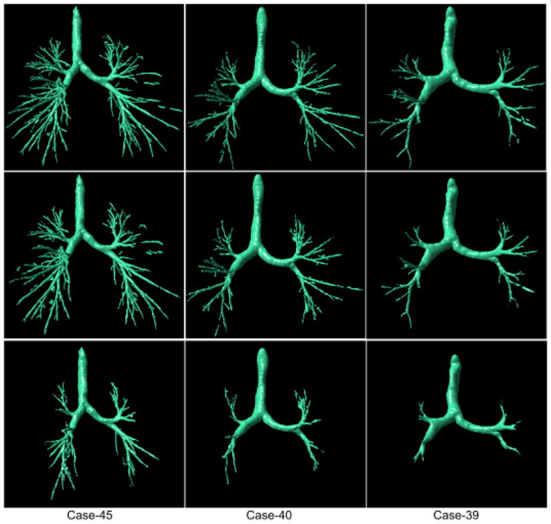 Fig. 14