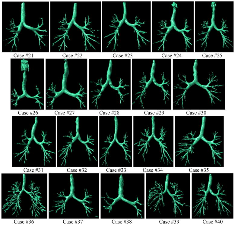 Fig. 17