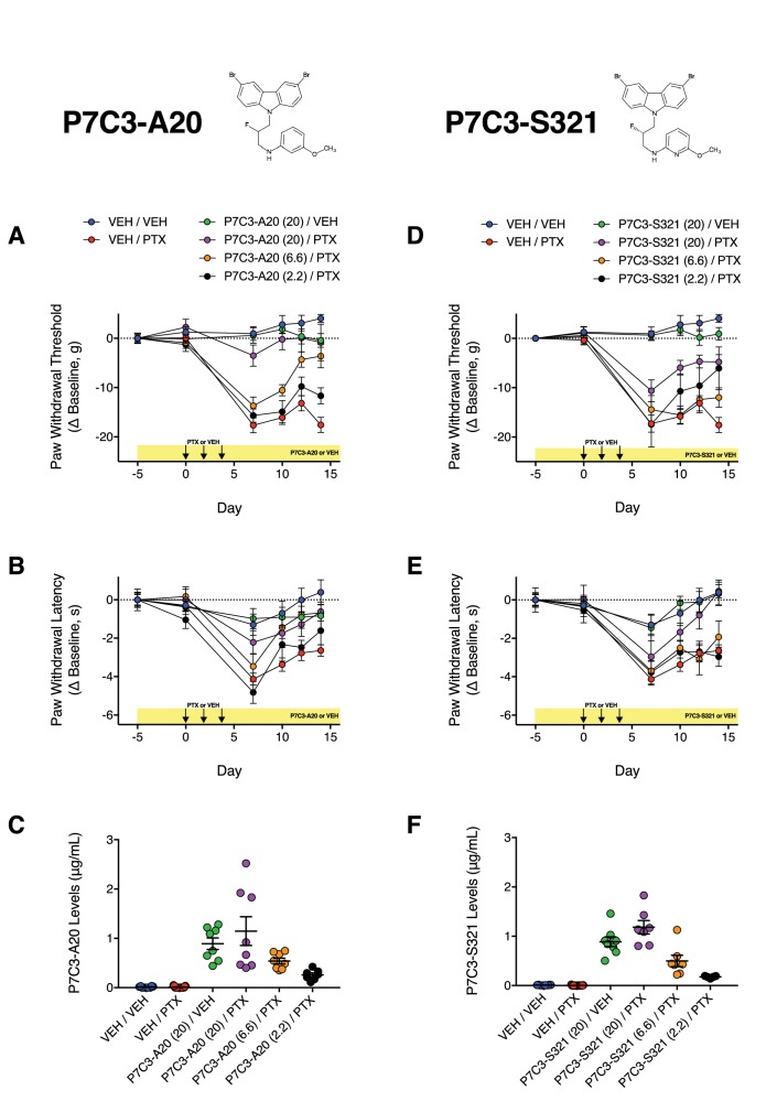 Figure 3—figure supplement 1.