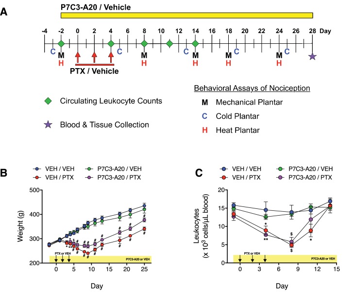 Figure 2—figure supplement 1.