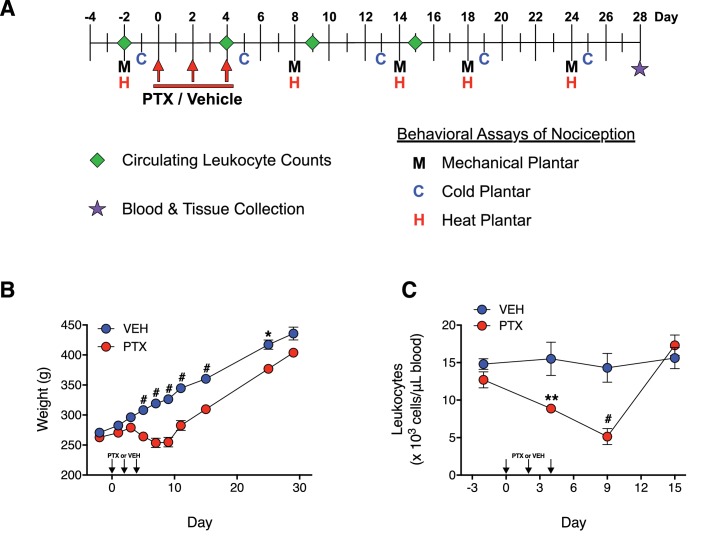 Figure 1—figure supplement 1.