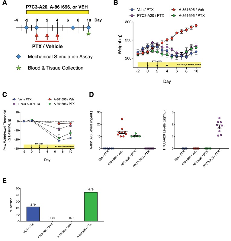 Figure 4—figure supplement 1.