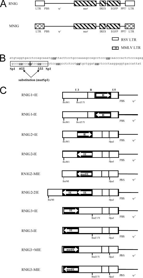 FIG. 1.