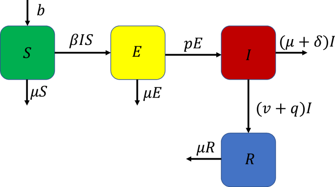 Fig. 1