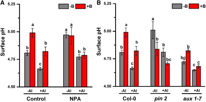 Figure 5.