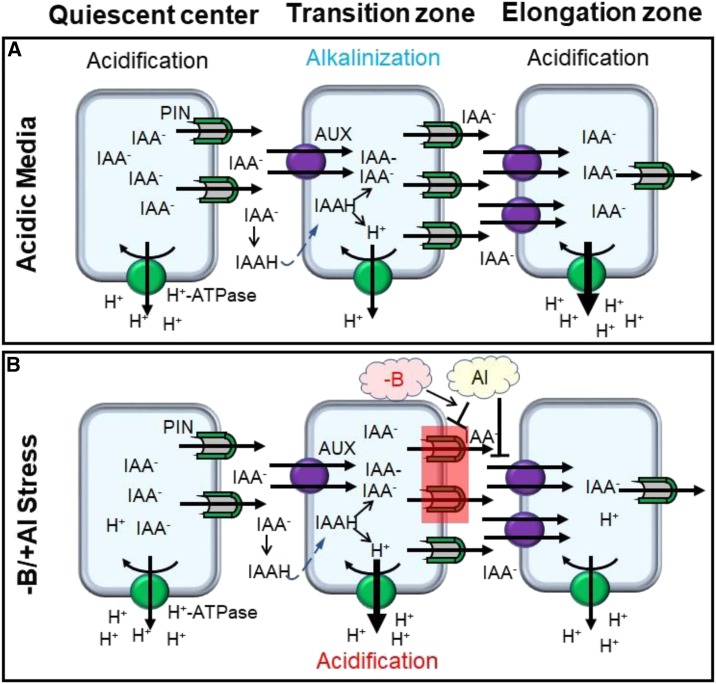 Figure 6.