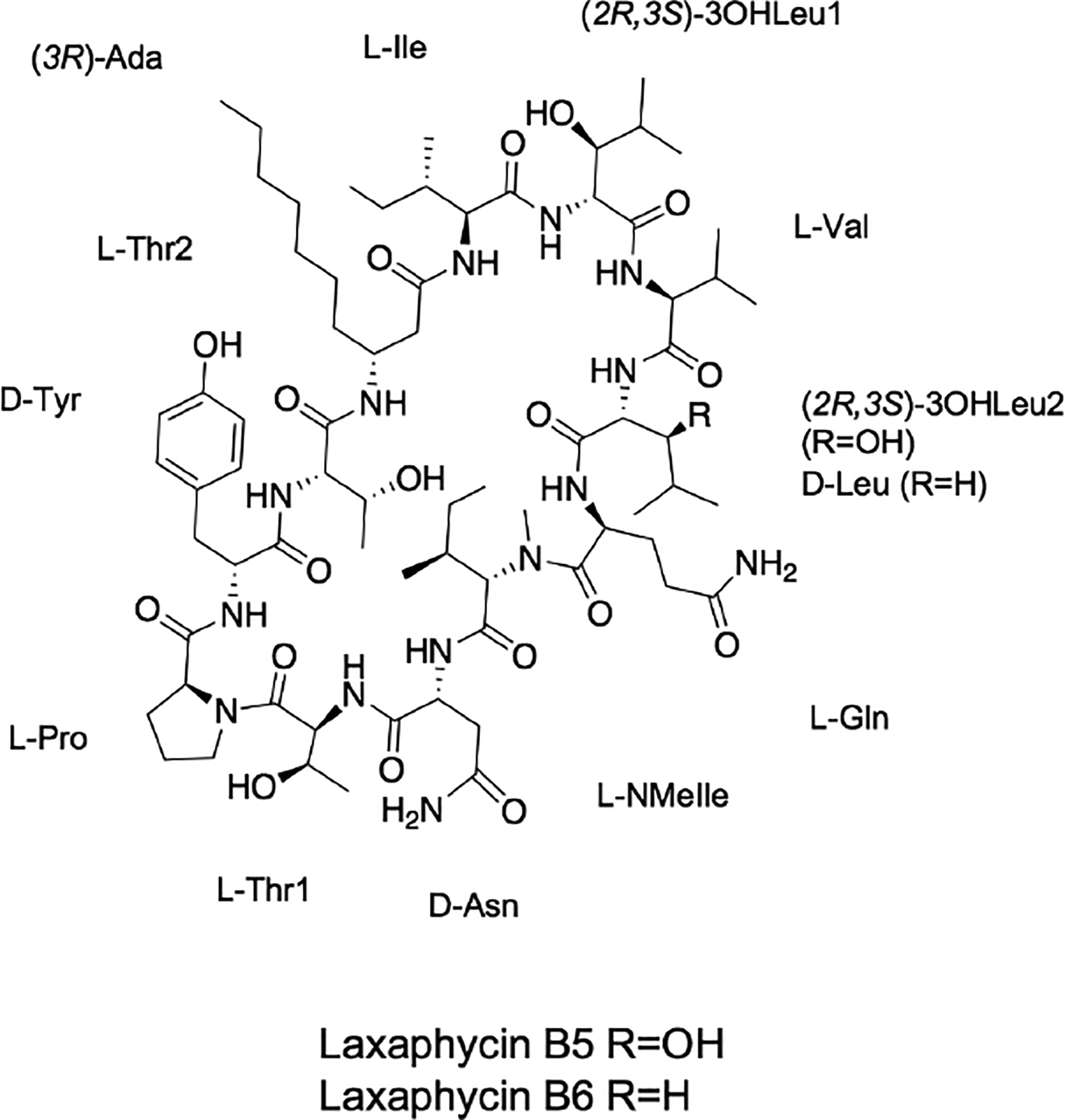 Fig. 1: