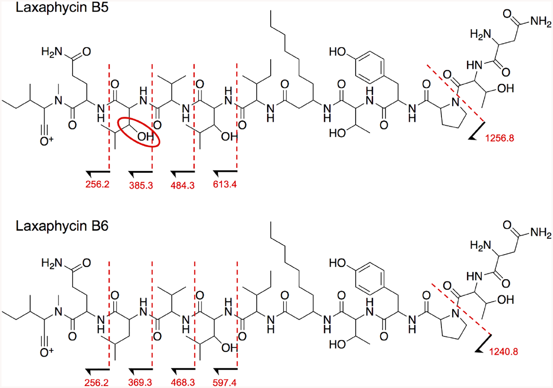 Fig. 4: