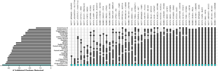 Figure 2