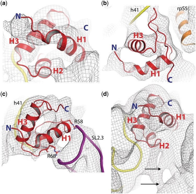 Figure 5.