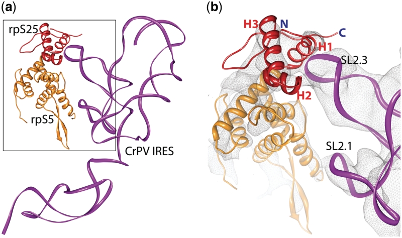 Figure 7.