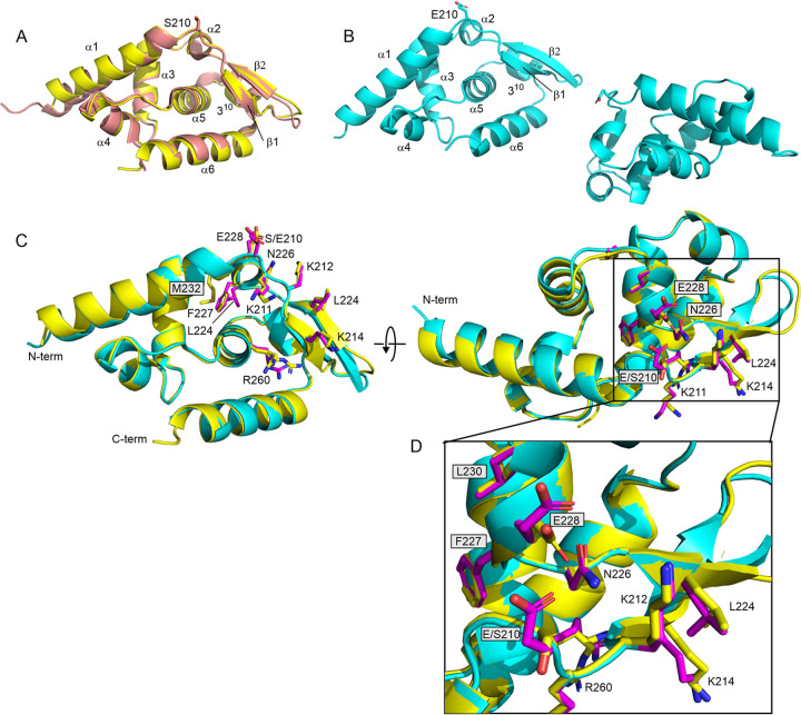 FIG 1