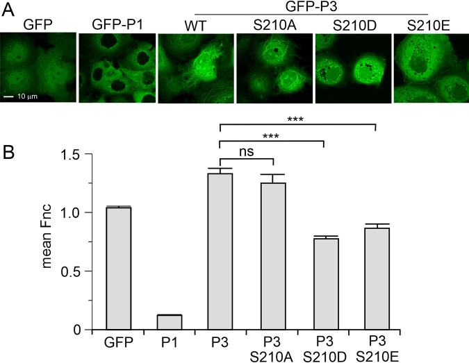 FIG 4