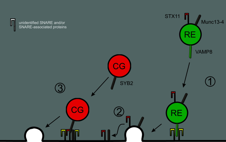 Fig. 3