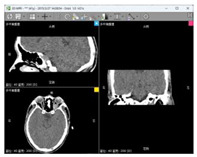 graphic file with name bioengineering-11-00891-i001.jpg