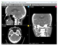 graphic file with name bioengineering-11-00891-i005.jpg