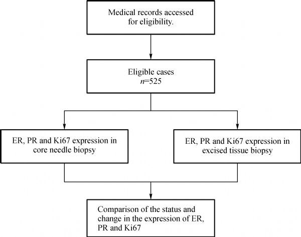 Fig.1