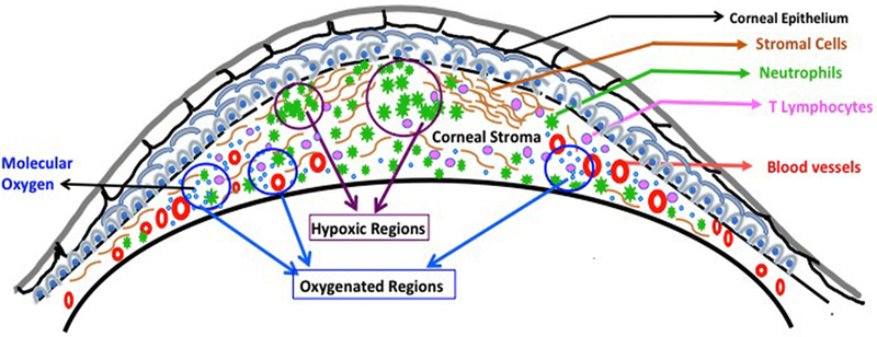 Figure 9.