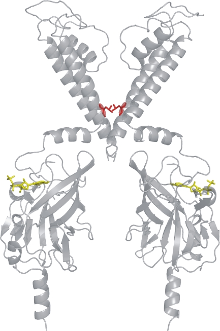 Fig. 3