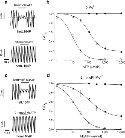 Fig. 2