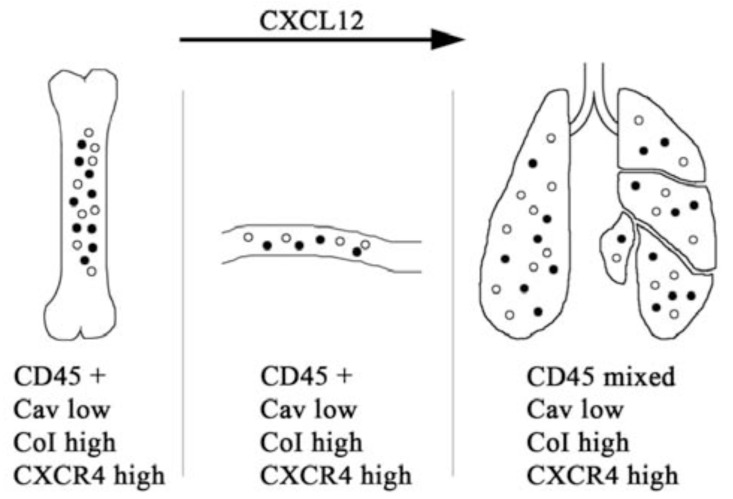 Fig. (2)