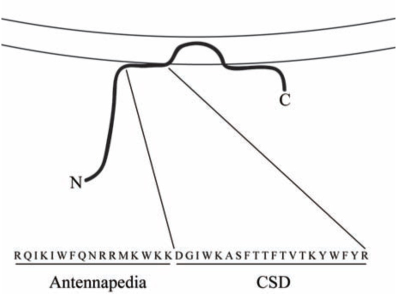 Fig. (1)