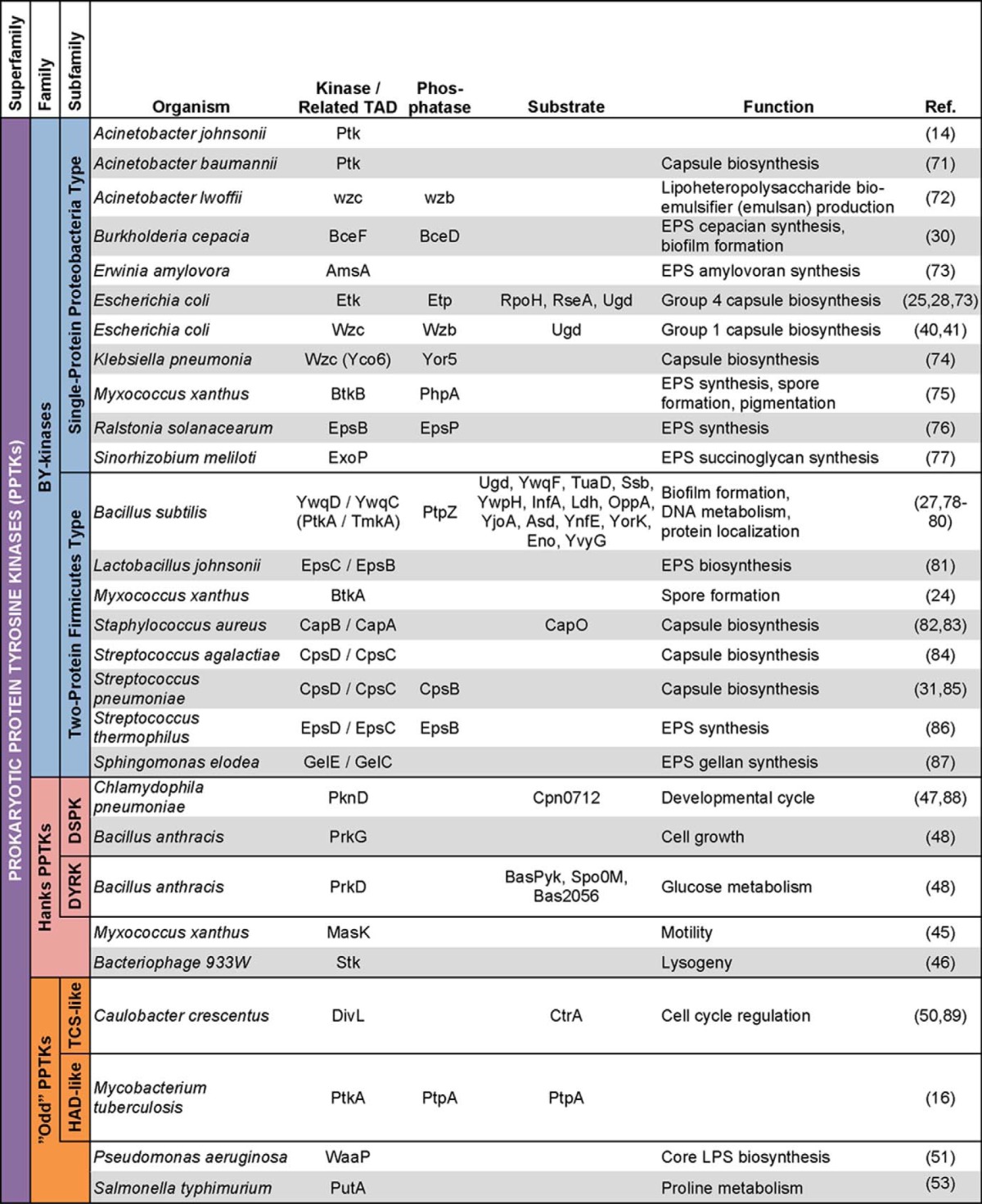 graphic file with name zbc019148081t001.jpg