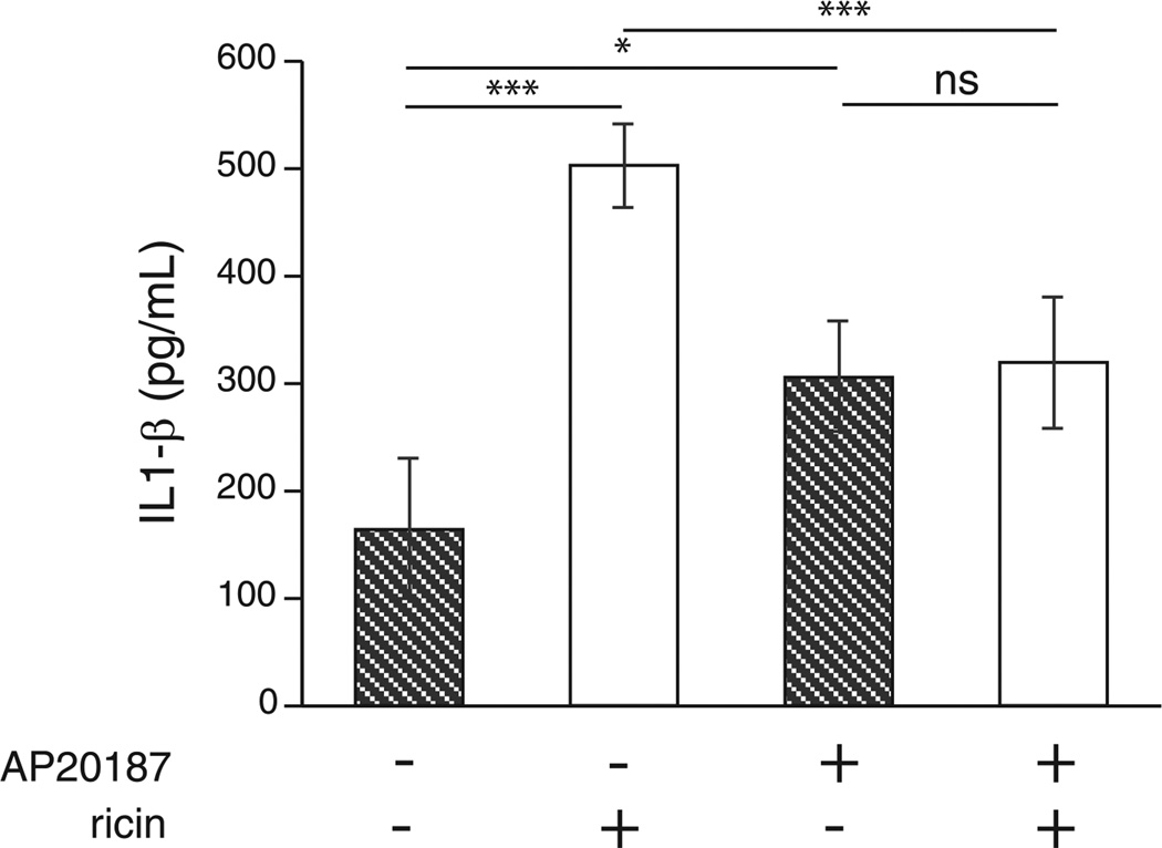 FIGURE 3