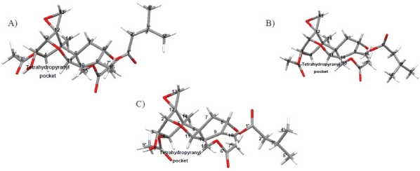 Figure 10