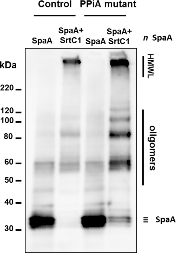 Fig 9