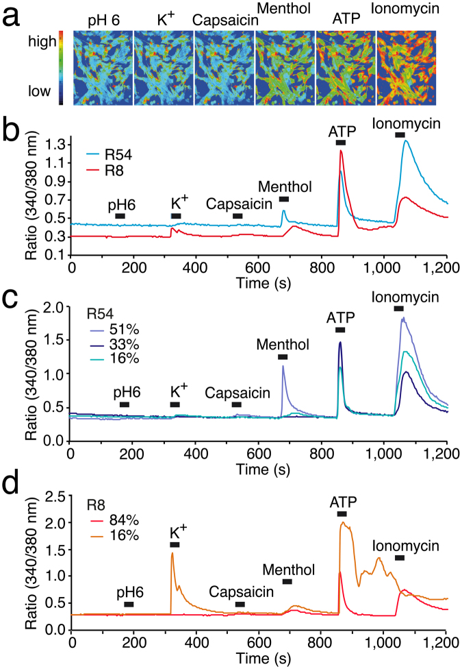 Figure 9