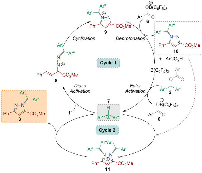 Scheme 4