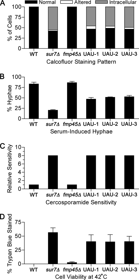 Fig. 8.