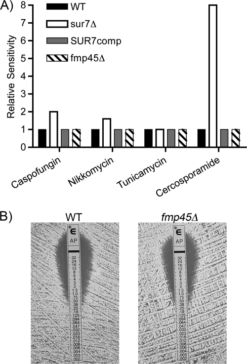 Fig. 4.