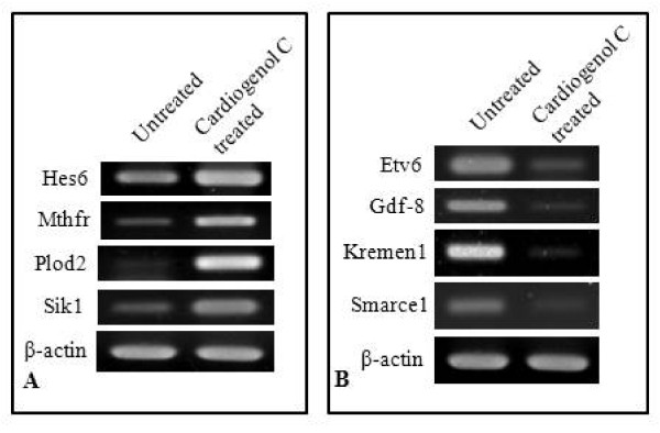 Figure 10