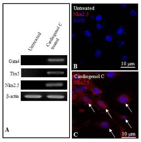 Figure 4